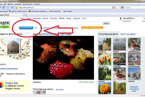 Оригинальные ссылки кракена