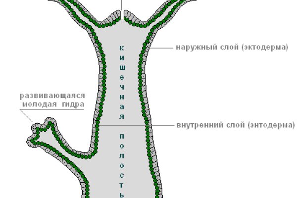 Украли аккаунт на кракене даркнет