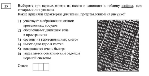 Кракен дарк